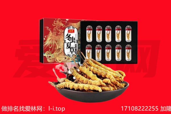 花垣县回收虫草.jpg